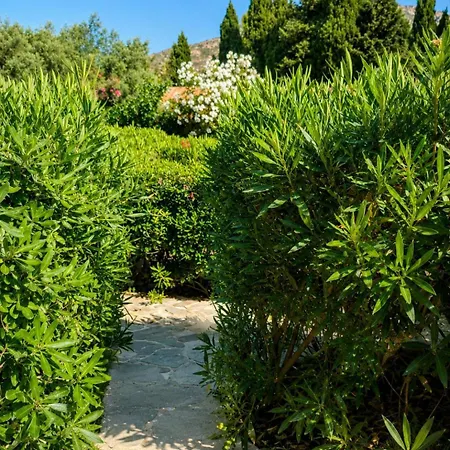 Apartment We Blue Le Lavandou
